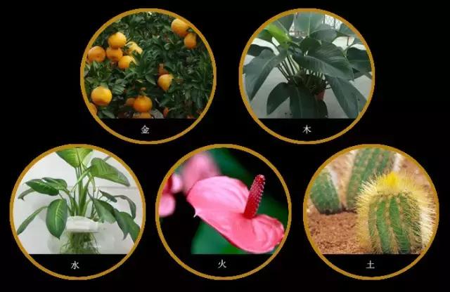 庭院风水知识100条,庭院风水知识