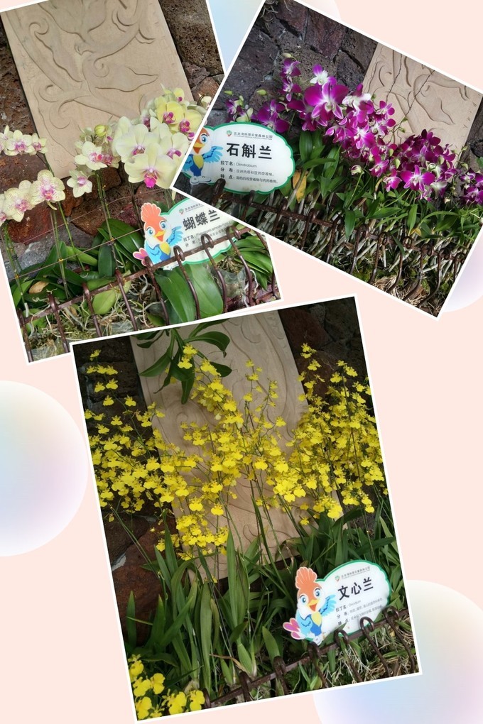 碧海蓝天椰风海韵旅行,碧海蓝天三亚亲子游攻略