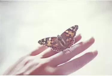 天下雨了可以撑伞；心下雨了该怎么办？