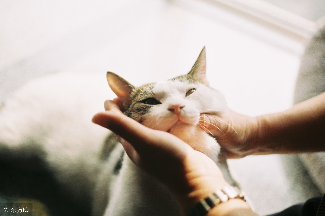 真心话大冒险丧心病狂的玩法,真心话大冒险丧心病狂的惩罚