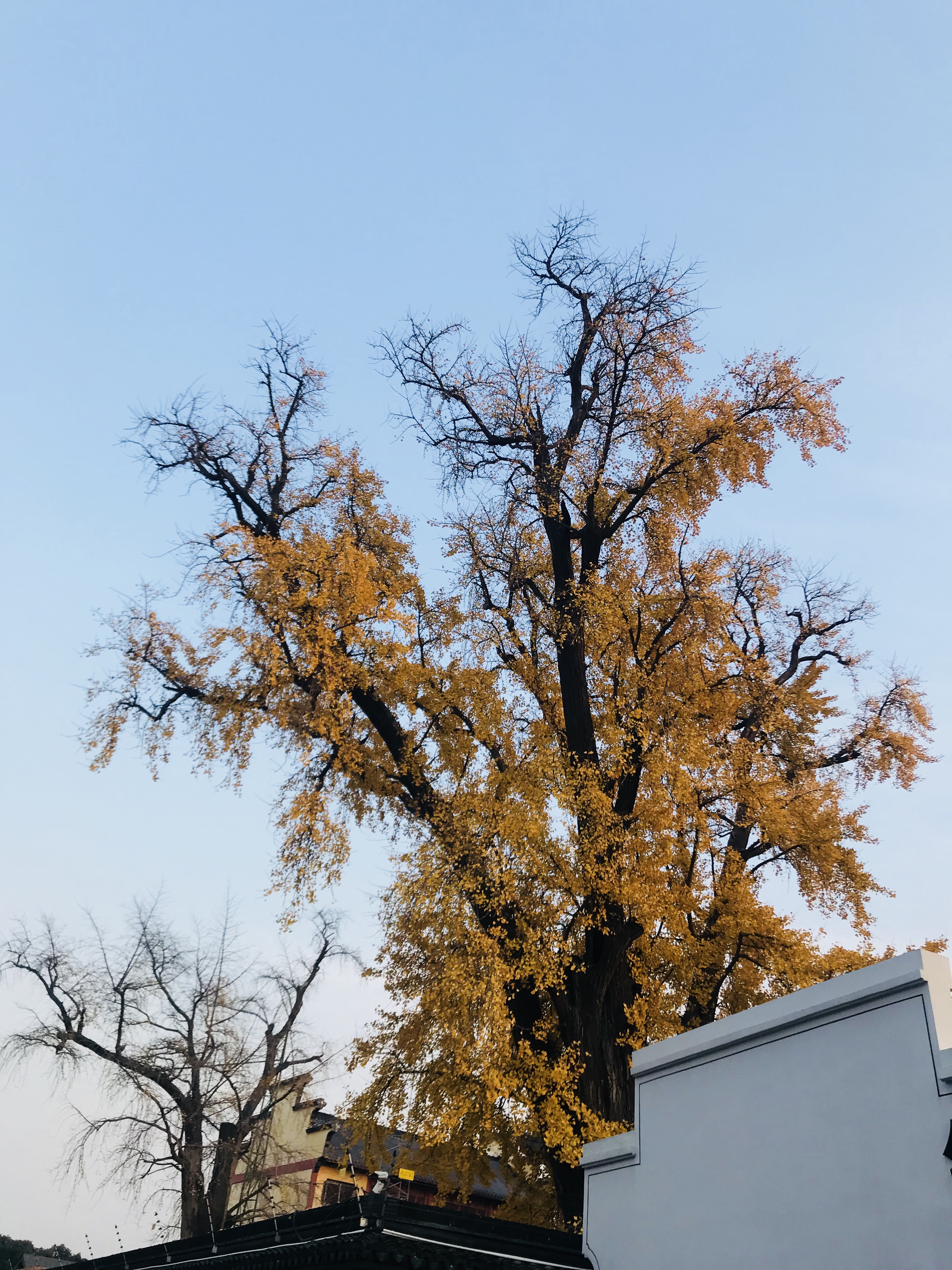 中国十大水乡古镇是哪四个地方,上海十大风水最好的古镇
