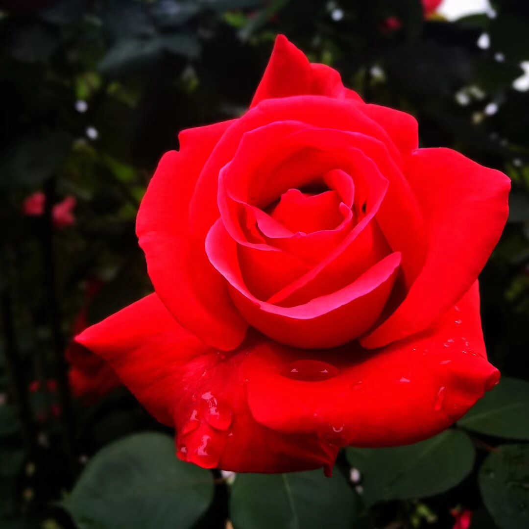 女人五十岁对应生活需求还高吗,女人五十岁后雌激素旺盛的表现