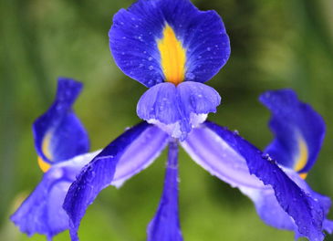 形容春天的美好景象的成语,春天的成语100个简单