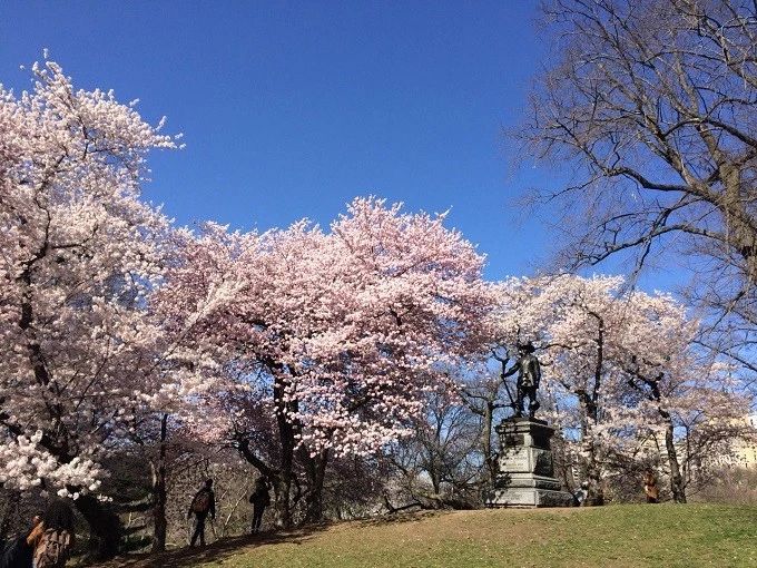 晨起头晕恶心天旋地转是什么原因,总是头晕天旋地转怎么回事