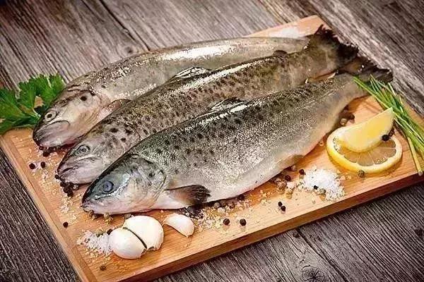 美味家炖鱼做法,美味的炖鱼了解一下