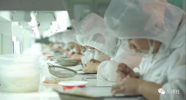 中国进口马来西亚毛燕,马来西亚毛燕可以带回国内吗