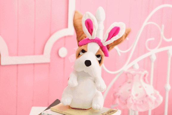 涨知识成语故事,关于狗的歇后语100句