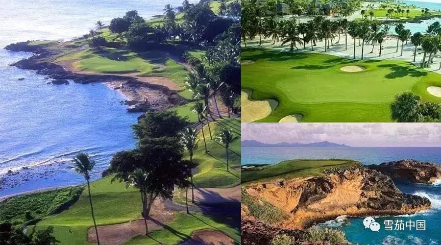 多米尼加vintage雪茄,多米尼加的罗密欧朱丽叶雪茄