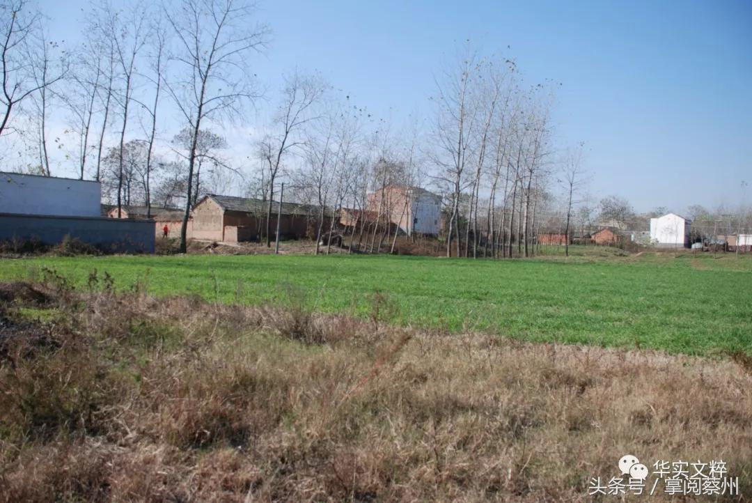 叶公好龙叶公到底喜不喜欢龙呢,叶公好龙中叶公是个什么样的人