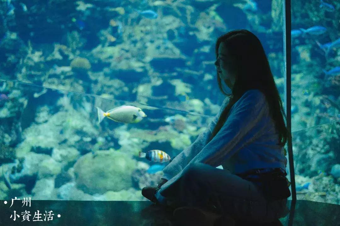 巴南海洋公园一日游攻略 (香港海洋公园游玩攻略)