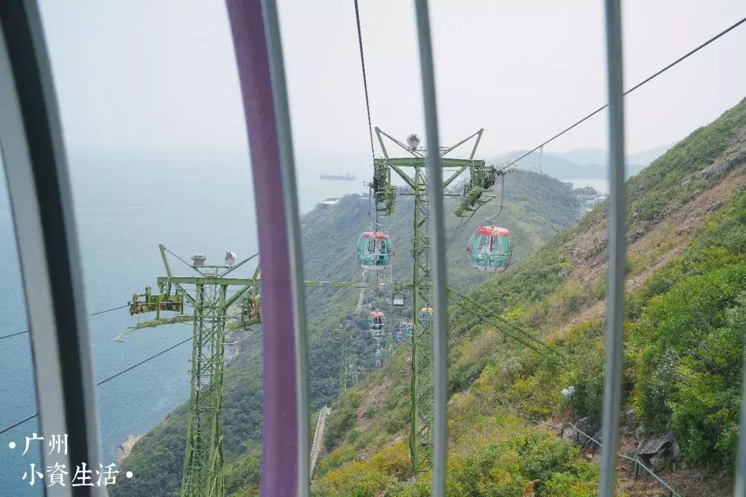 巴南海洋公园一日游攻略 (香港海洋公园游玩攻略)