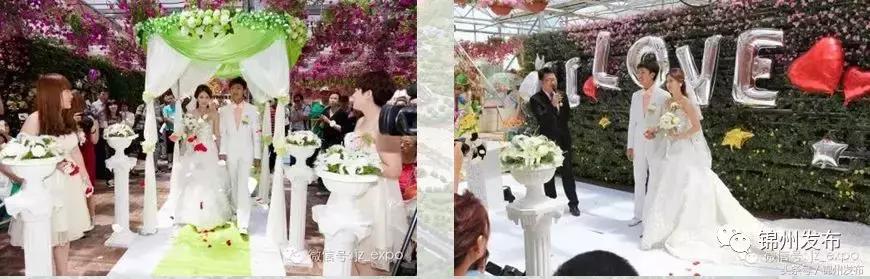 锦州市世博园开园了吗,锦州世博园五一开园