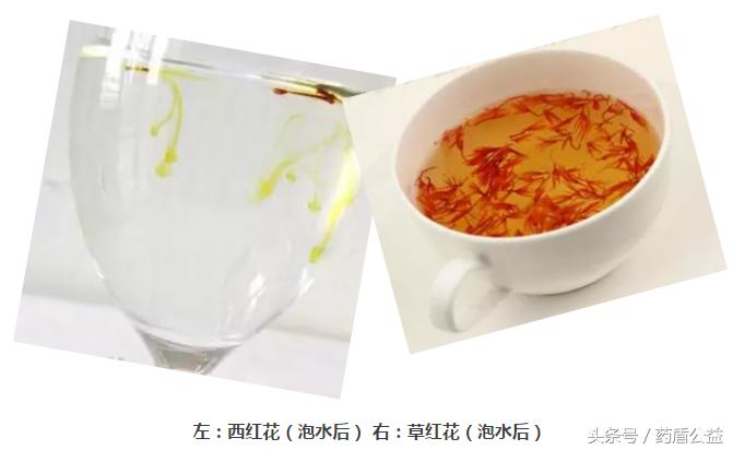 人间草藏两红花，名似姐妹不同家