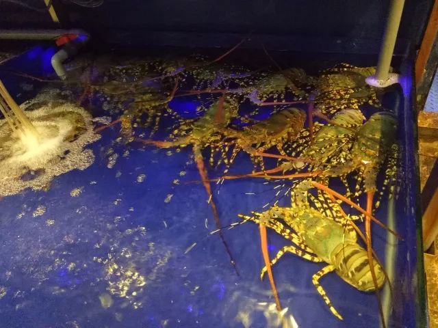 越南旅行之岘港攻略,越南岘港巴拿山风景