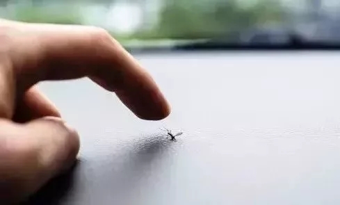 蚊子爱咬o型血准确吗,蚊子为什么咬o型血的人呢