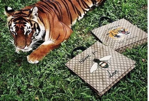 老花装饰包,老花包如何显年轻