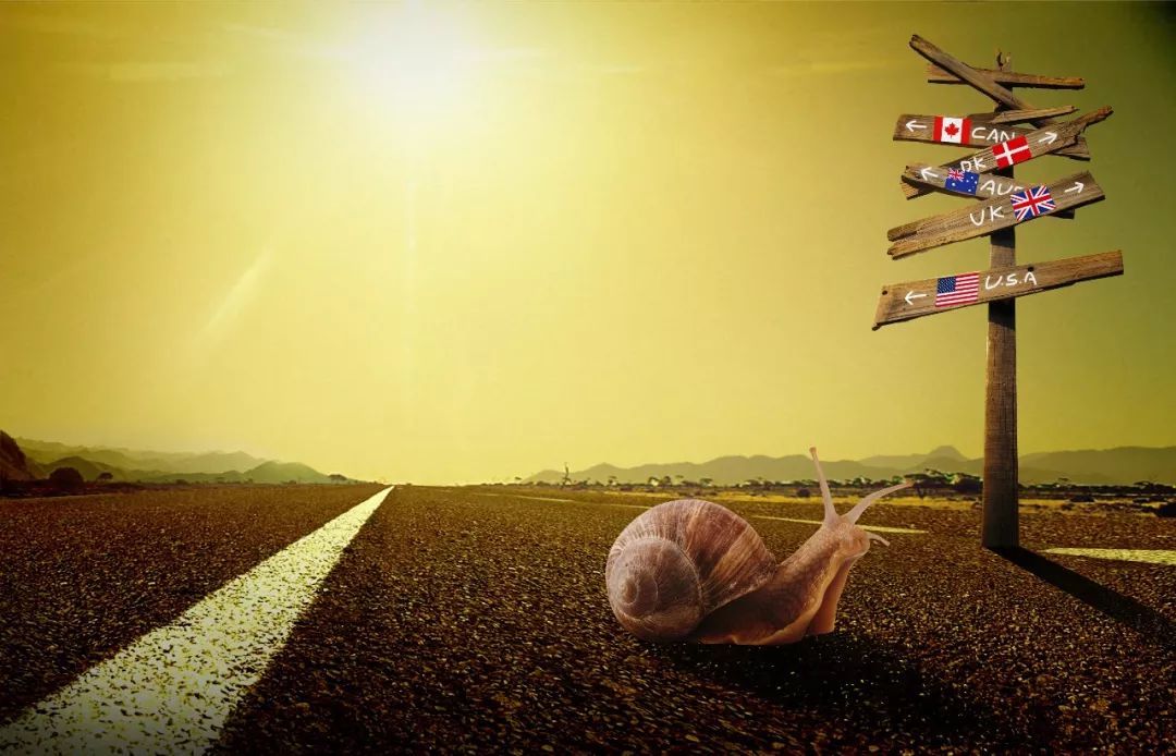 带个苹果下飞机,竟被罚500美元!这样的坑,很多人还不知道