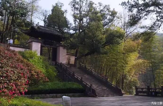 江浙寻花事,东南dx3自驾游