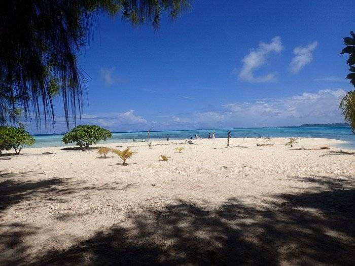 帕劳为什么这么值得去,帕劳必须要去的地方