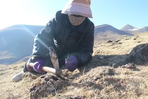 您有一份来自情醉姆蓝雪山·寻觅虫草之旅的邀请函