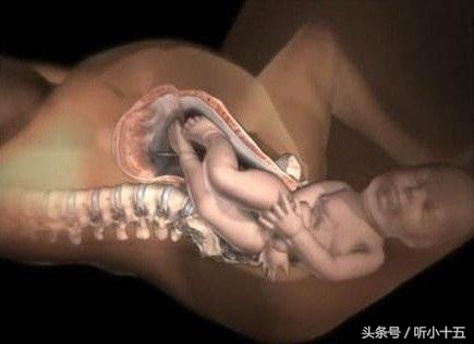 怀孕晚期要生了有什么征兆,怀孕晚期快要生什么感觉