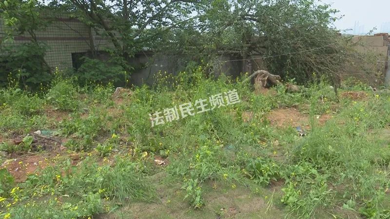 初来乍到长沙不慎被蜈蚣咬伤,小孩被蜈蚣咬了怎么办有危险吗