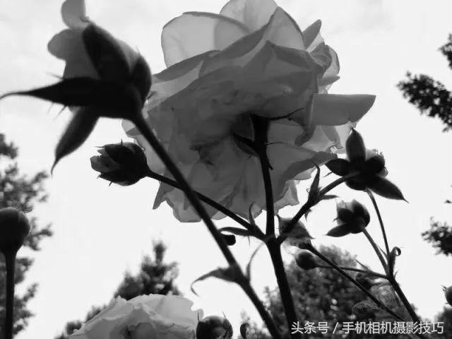 为什么我手机拍照老是改善画质,手机拍照放大就模糊