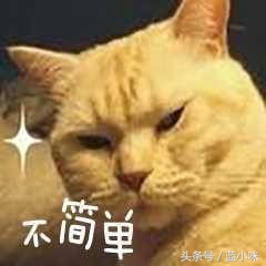 婚礼日记怎么写,婚礼日记结婚现场