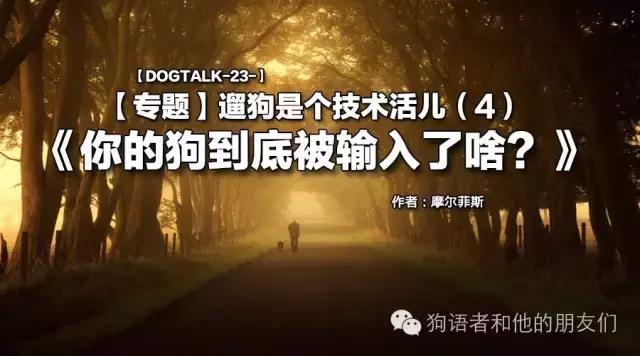 dogtalk閬涚嫍,dogtalk
