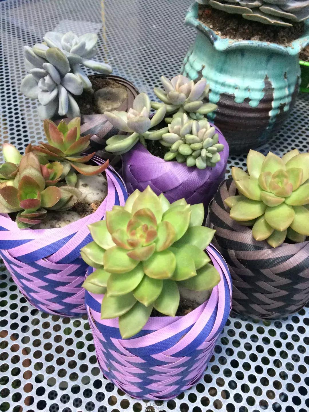 花篮里的花可以直接放土养,怎么在花园里种花