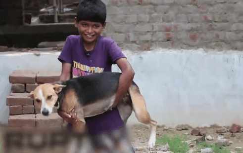 男子疯狂迷恋流浪狗,外国小伙喂食流浪狗
