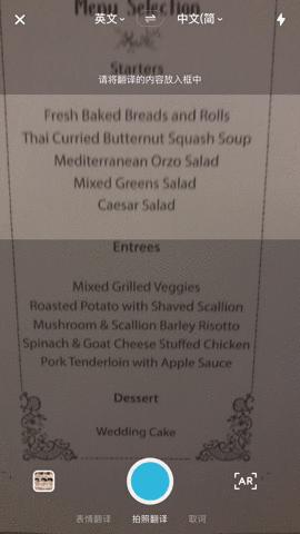 不用拍照实时翻译,什么软件是不用拍照就实时翻译的