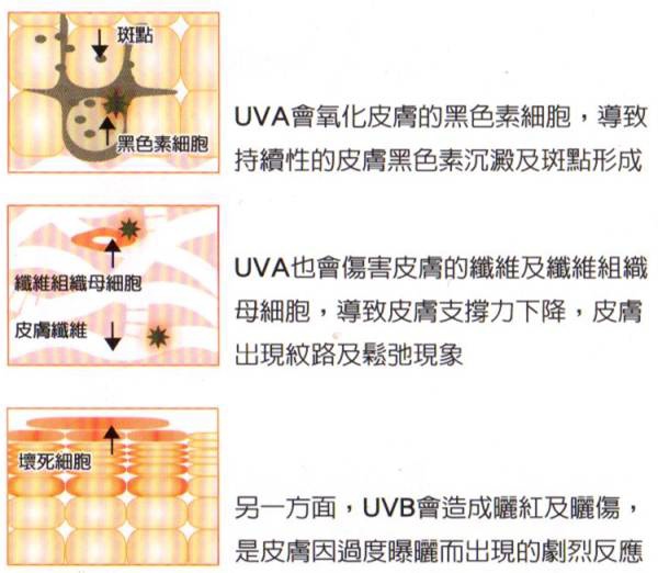 夏季大牌平价防晒推荐,明星用的同款防晒测评是什么