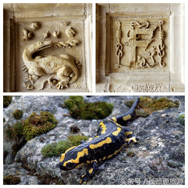 法国卢瓦尔河谷保护规划,法国卢瓦尔河谷花园城堡之旅