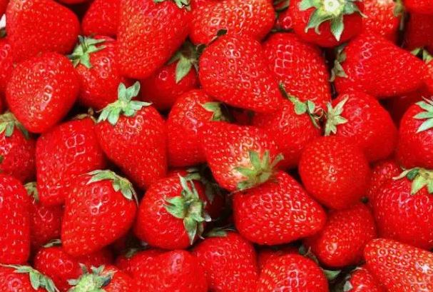 五一小长假北疆旅行,五一游玩的小短文50字