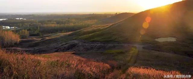 适合南京一日游的三十项免费景点,南京值得打卡的小众景点