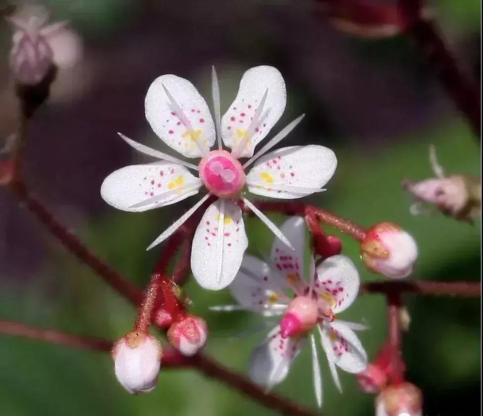 五一聚会的图片可保存,五一微信群图片