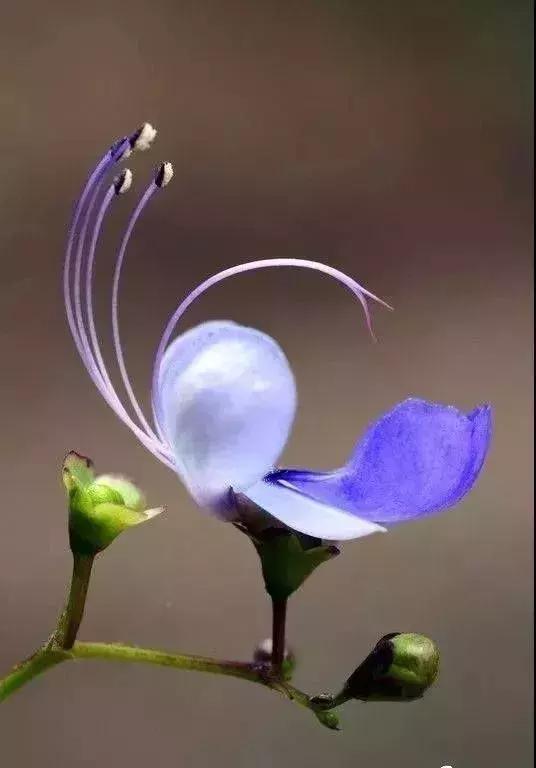 五一聚会的图片可保存,五一微信群图片