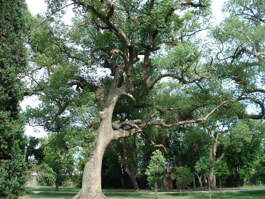 美丽杭州建德市,杭州拱墅区美丽田园