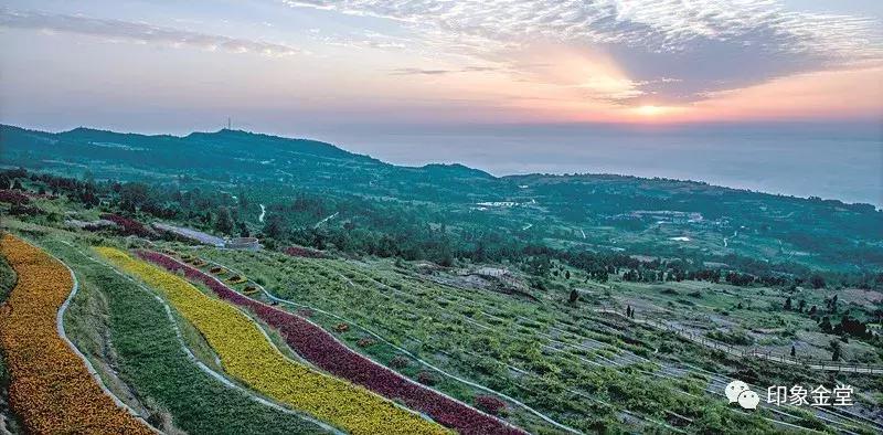 成都市金堂县龙泉山城市森林公园,成都龙泉城市森林公园图