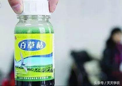 百草枯除草有什么危害,百草枯除草几天没有危害了