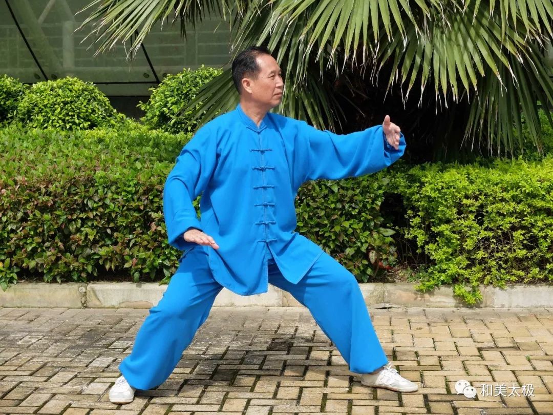 陈雄杨式太极拳基本功讲解,陈雄聊太极拳视频全集