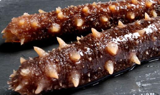 俄罗斯进口红参海参,美国原装进口海参