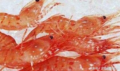 孕妇可以吃虾吗需要注意哪些问题,孕妇怀孕初期可以吃虾蟹粥吗