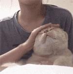 林金勇粉笔画技法,粉笔画技法pdf