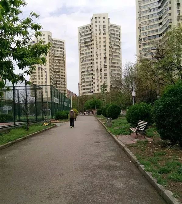 呼叫西罗园！呼叫西罗园！