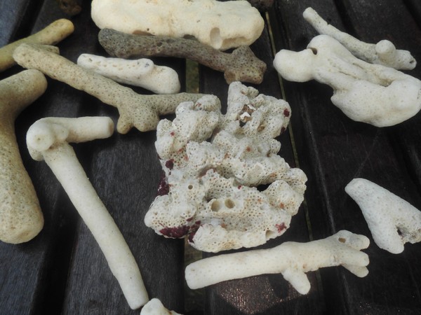 鍥涙湀骞胯タ椋庢櫙,鍥涙湀娴峰崡瀹炴媿