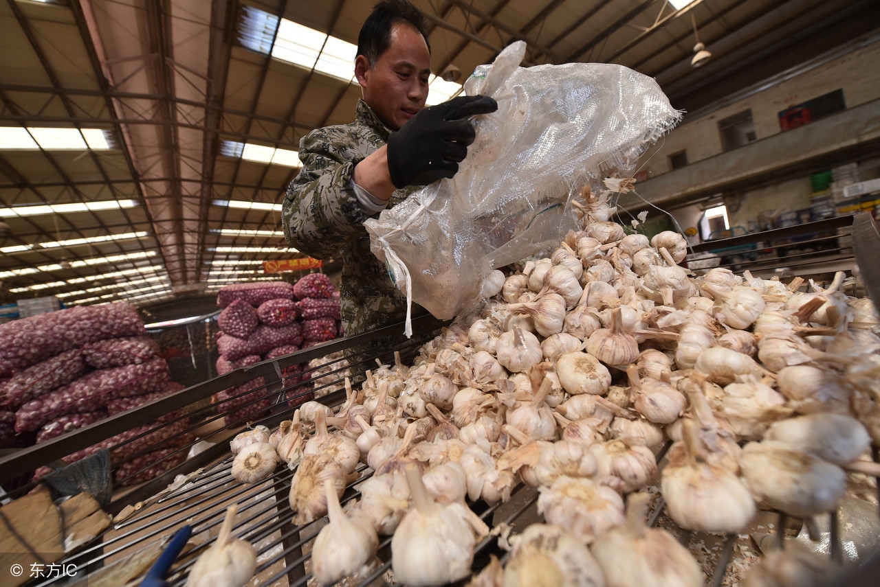 近二十年大蒜行情走势规律,求近五年大蒜行情走势