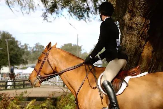 马术顶级骑手缰绳练习,马术骑手手臂和肩膀练习