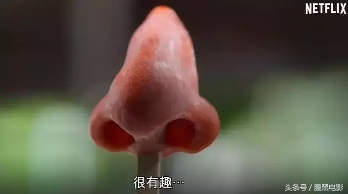 主厨的餐桌第四季中英字幕,主厨的餐桌第四季节目播放